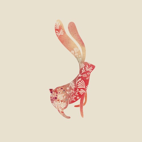 Imaginary-Rabbit