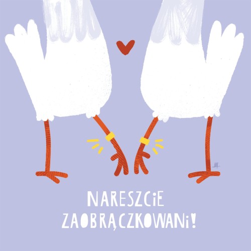 Zaobrączkowani.jpg